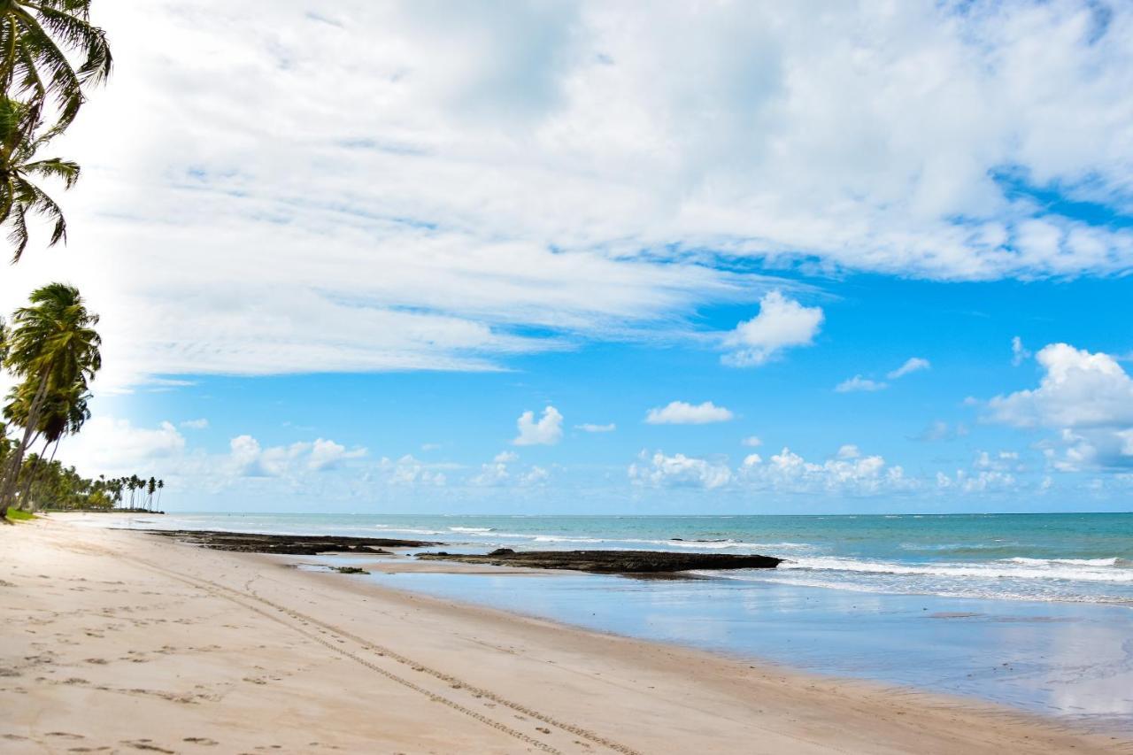 Apartment Luxo A Beira-mar - Flats No Carneiros